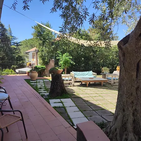 Casa Degli Ulivi Etna
