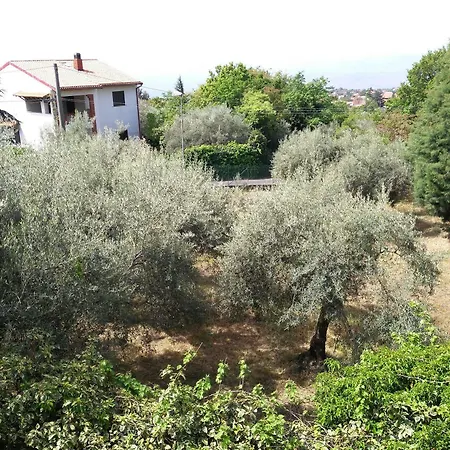 Casa Degli Ulivi Etna Oda ve Kahvaltı