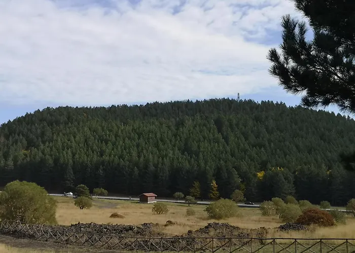 Casa Degli Ulivi Etna Bed & Breakfast Ragalna