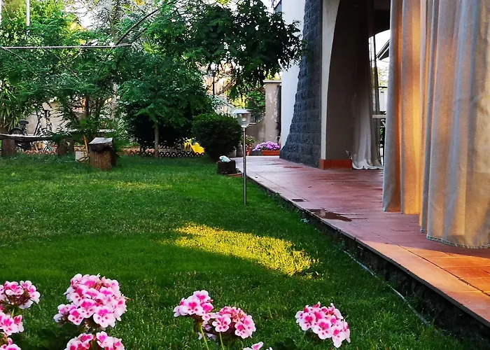 Casa Degli Ulivi Etna Bed & Breakfast